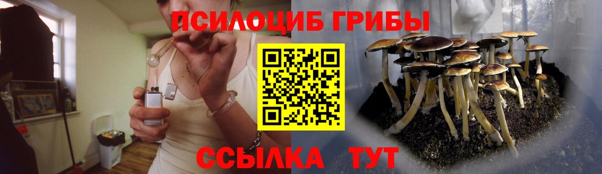 Псилоцибиновые грибы GOLDEN TEACHER  Вход с VPN  Бийск 